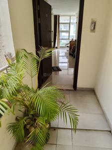 Hall Image of 800 Sq.ft 2 BHK Apartment / Flat for rent in Rohan Mithila, Viman Nagar Pune for Rs. 50000