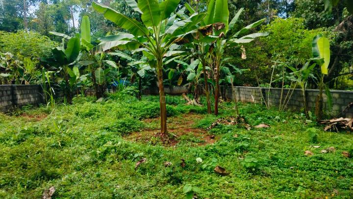 Keralarealty Main Image 1