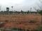 SGD Developers Main Image 1