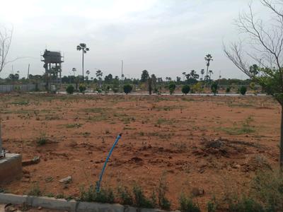 SGD Developers Plot View 1