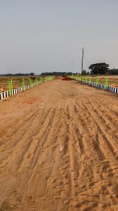 Hansapal Plot View 3