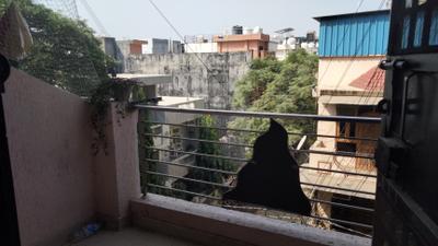Image of 900 Sq.ft 2 BHK Builder Floor for rent in Indirapuram, Ghaziabad for Rs. 21000