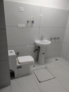 Bathroom Image of 950 Sq.ft 1 BHK Builder Floor for rent in Sector 12A Panchkula for Rs. 18000