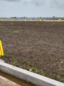 Image of 366 Sq.ft Residential Plot / Land for sale in NMR Sai Chandana Gardens Pedaogirala Phase 1, Pedaogirala, Krishna for Rs. 6006000