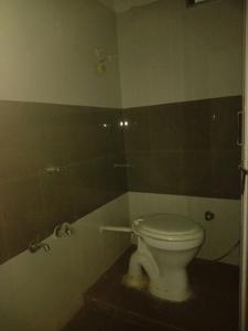 Common Bathroom Image of 1577 Sq.ft 2 BHK Apartment / Flat for rent in Paldi Ahmedabad for Rs. 22500