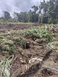 Image of 17800 Sq.ft Residential Plot / Land for sale in Chengannur, Alappuzha for Rs. 28000000