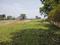 skylark Plot View 2