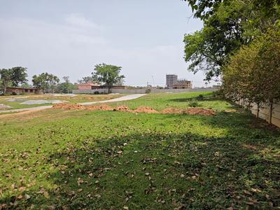 skylark Plot View 2