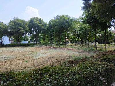 Residential Plot