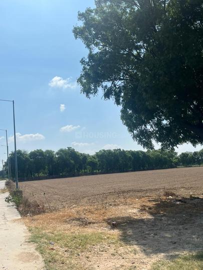 Ghumanhera Main Image 1