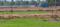 Samayanallur Plot View 2