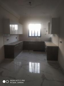 Hall Image of 3000 Sq.ft 2 BHK Independent House for rent in Sector 46 Noida for Rs. 32000