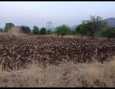 Image of 1089 Sq.ft Residential Plot / Land for sale in Sarde, Navi Mumbai for Rs. 327000