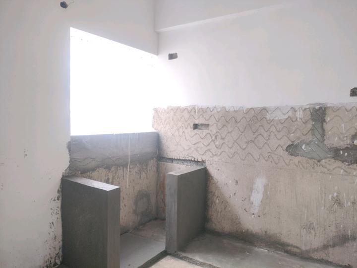 Fern Nest Main Image 1