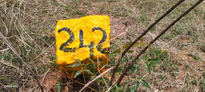 Image of 1500 Sq.ft Residential Plot / Land for sale in Ganeshapuram, Coimbatore for Rs. 2100000