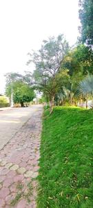 Image of 2800 Sq.ft Residential Plot / Land for sale in Gokanya, Indore for Rs. 8500000