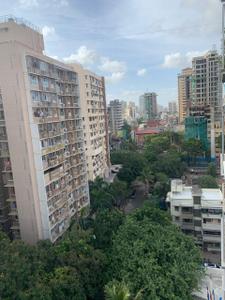 Image of 800 Sq.ft 2 BHK Apartment / Flat for sale in Borivali West, Mumbai for Rs. 29000000
