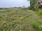 Karanpur Plot View 2