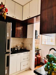 Kitchen Image of 1205 Sq.ft 3 BHK Apartment / Flat for sale in Trifecta Joli, Chikkakannalli Bengaluru for Rs. 9500000