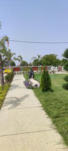 Image of 1000 Sq.ft Residential Plot / Land for sale in Super Corridor, Indore for Rs. 3450000