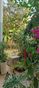 Balcony Image of 1500 Sq.ft 2 BHK Villa for rent in Marna Siolim Goa for Rs. 120000