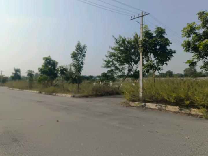 Devender Colony Plot View 1