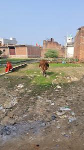 Mohan Road se Andar Salempur Pataura Near Sardar Bhagat Singh College Plot View 2