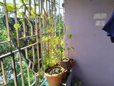 Balcony Image of 676 Sq.ft 2 BHK Apartment / Flat for sale in Rajarhat Kolkata for Rs. 2000000