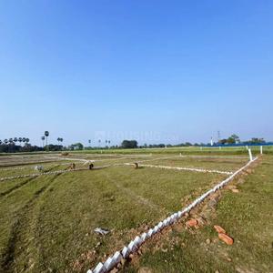 Bihta Plot View 3