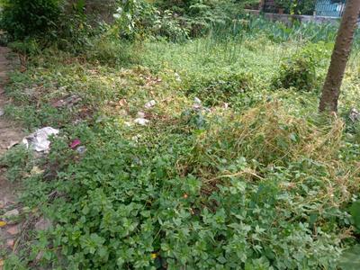 Madurdaha Plot View 3