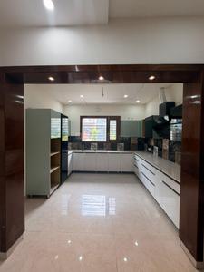 Kitchen Image of 2600 Sq.ft 5 BHK Independent House for sale in Sector 123 Mohali for Rs. 28500000