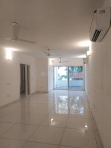 Hall Image of 3300 Sq.ft 3 BHK Builder Floor for rent in Greater Kailash II New Delhi for Rs. 140000