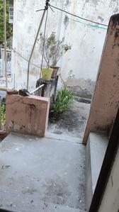 Image of Neelam  in Sector 15, Noida