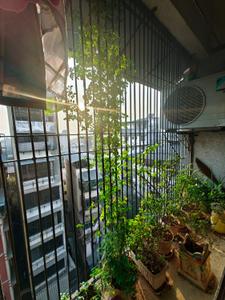 Balcony Image of 950 Sq.ft 2 BHK Apartment / Flat for sale in Thane West Thane for Rs. 11499999