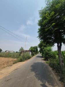 Vill jhande link rd Plot View 1