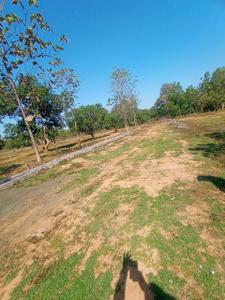 Pendurthi More Images 3