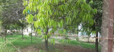 Image of 1000 Sq.ft Residential Plot / Land for sale in Rakanpur, Ahmedabad for Rs. 50000000