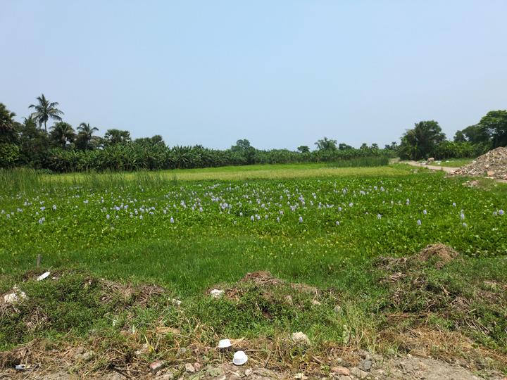 Diamond Park Main Image 1