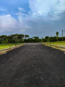 Gaura Plot View 3