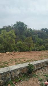 johri road Plot View 3