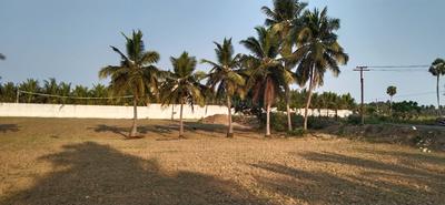 Image of 20000 Sq.ft Residential Plot / Land for sale in Koovathur, Chennai for Rs. 30000000