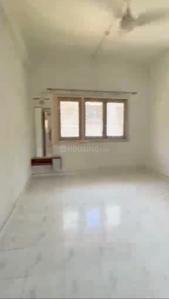 Hall Image of 490 Sq.ft 1 BHK Apartment / Flat for rent in Shivaji Park Mumbai for Rs. 45000