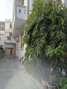 Image of Fly PG in Sector 61, Noida