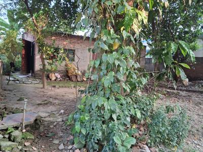 Image of 1152 Sq.ft 1.5 BHK Independent House for sale in Bandel, Hooghly for Rs. 5000000