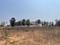 Sitara Sports Club Plot View 2