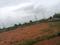 JB Group Main Image 1