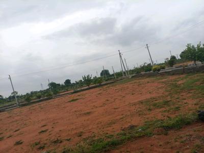 JB Group Plot View 1