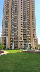 Image of 1449 Sq.ft 3.5 BHK Apartment / Flat for sale in Emaar Palm Hills, Sector 77, Gurgaon for Rs. 17400000