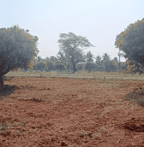 Image of 1810 Sq.ft Residential Plot / Land for sale in Kaggalahalli, Bengaluru for Rs. 8959500