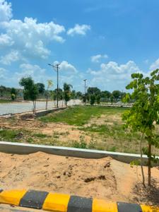 SUNSHINE PLOTS Plot View 2